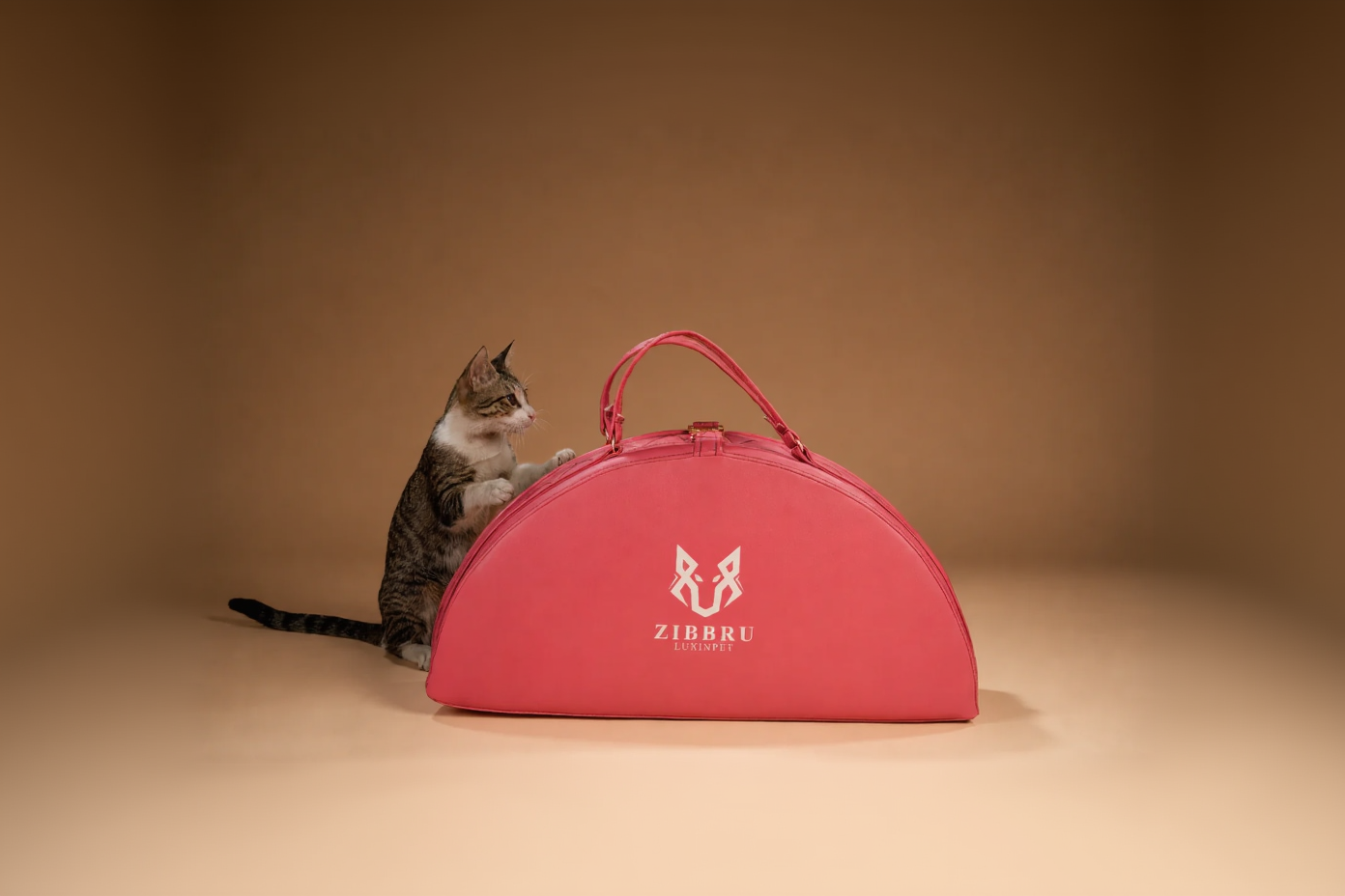 Cat sitting next to a pink Ziburu orthopedic  pet bed  on a brown background
