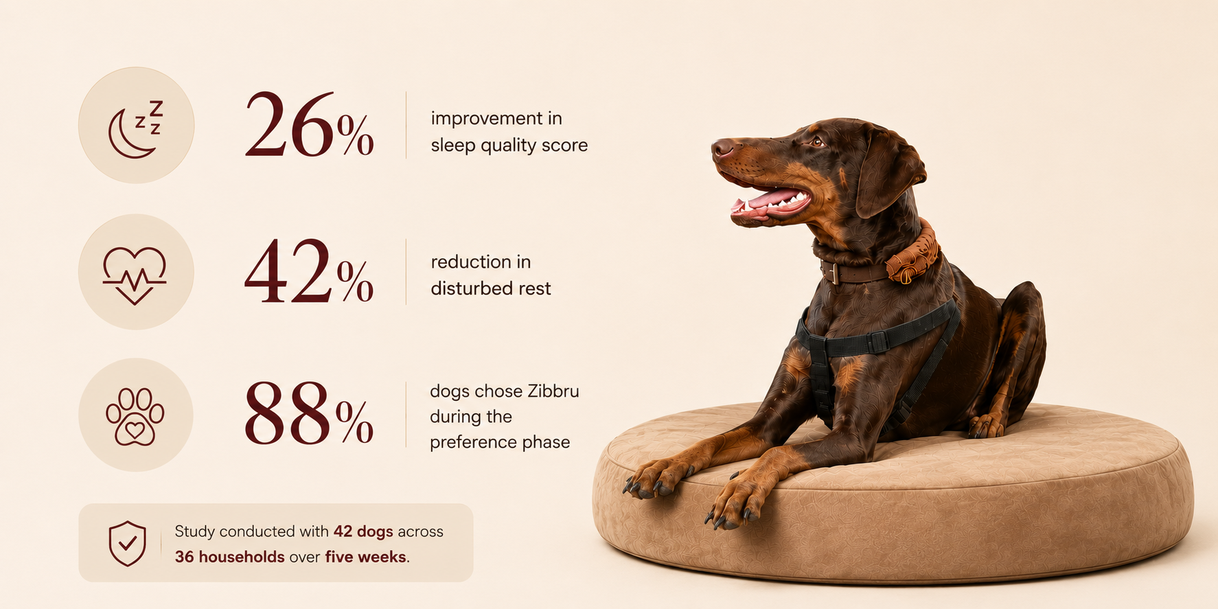 Dog lying on a Ziburu pet bed with statistics about sleep quality and preference.